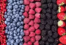 Guía Práctica para Conservar Frutas y Verduras: Dentro o Fuera de la Heladera