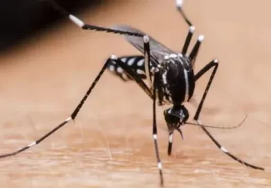 Dengue en Santa Fe: tercera semana con descenso en la curva de casos