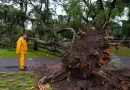 Tormenta en Rosario: ráfagas de 80 km/h, más de 100 reclamos y un alivio tras el calor extremo